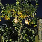 Yalos Apartamento Khorevtón