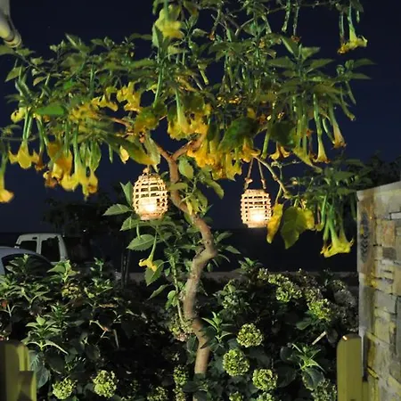 Yalos Lejlighed Chorefton