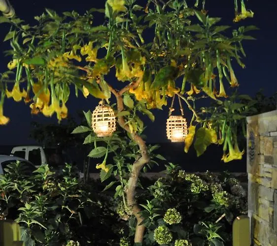 Studios Yalos Apartment Chorefton