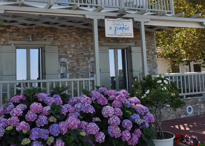 Apartment Studios Yalos